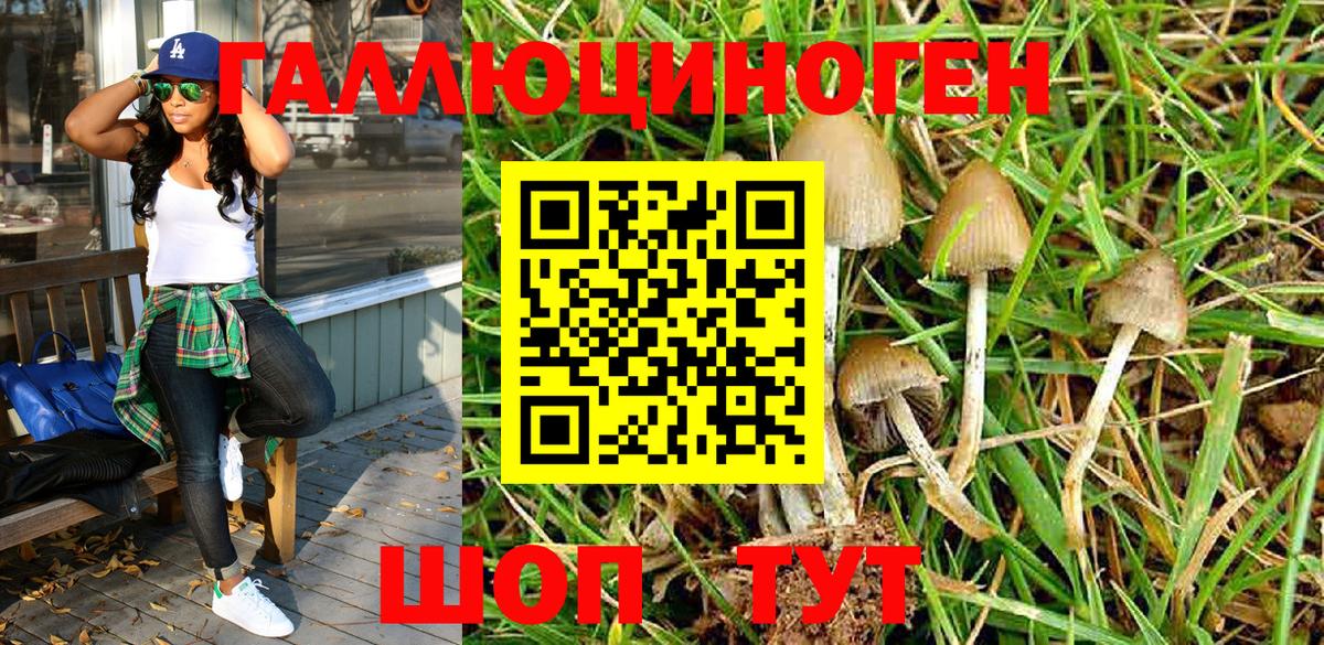 Воркута  Псилоцибиновые грибы Psilocybine cubensis  Вход с VPN 